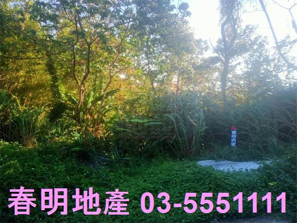 北埔農地-5