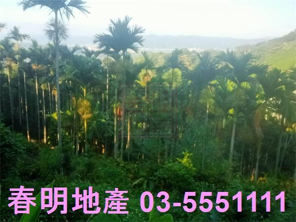 北埔農地-8
