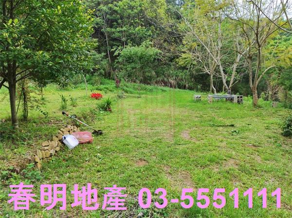 新竹峨眉農地-3