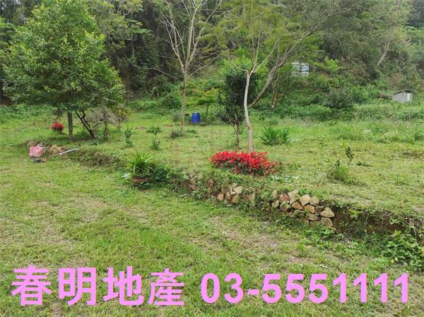 新竹峨眉農地-4