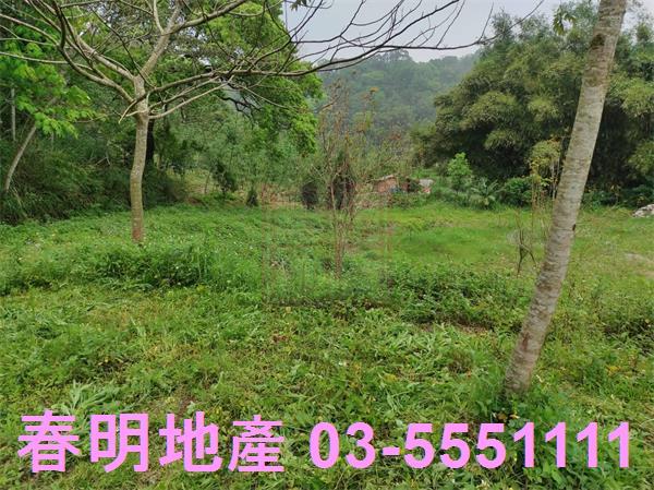 新竹峨眉農地-5