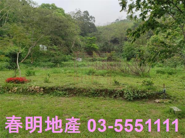 新竹峨眉農地-6