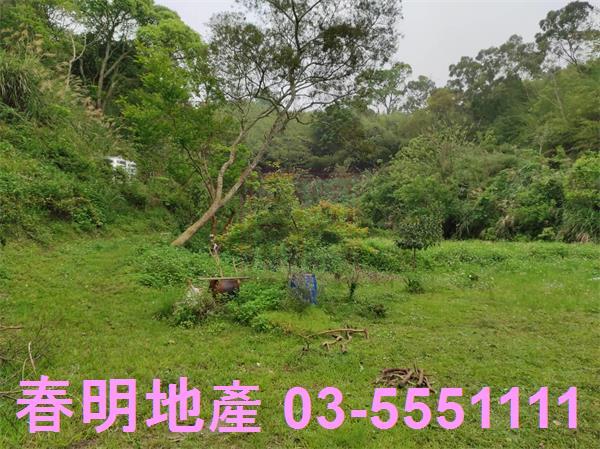 新竹峨眉農地-7