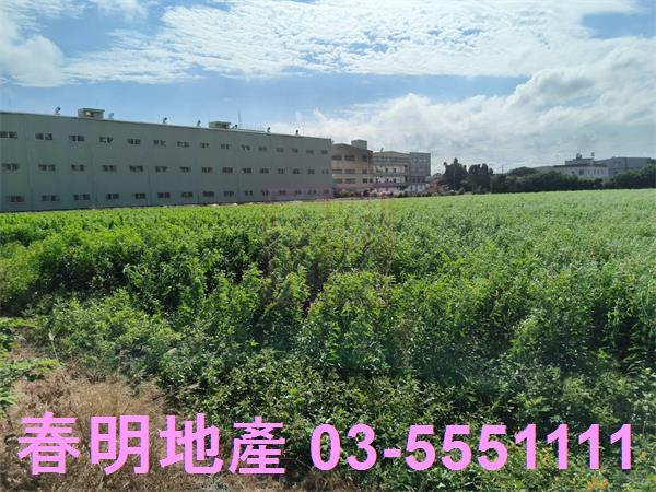 新竹農地-1