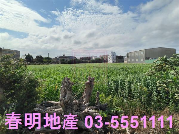 新竹農地-2