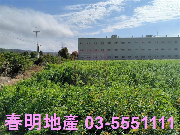 新竹農地-4