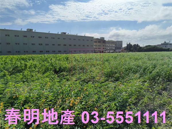 新竹農地-5