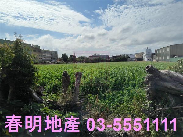 新竹農地-6