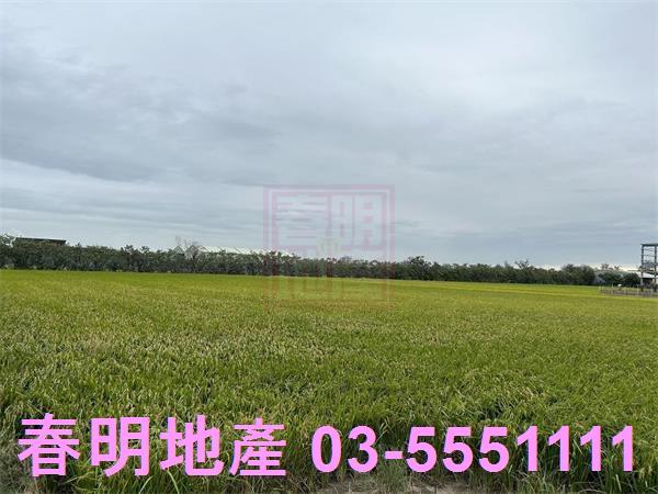 新竹香山農地-1