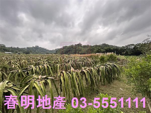 新竹農地-0