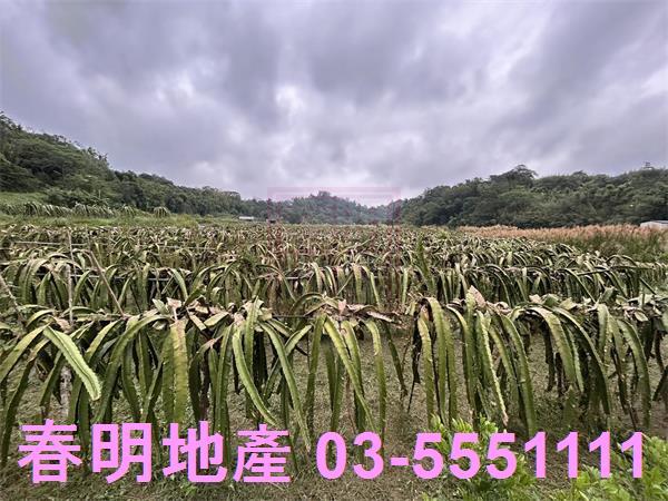新竹農地-1