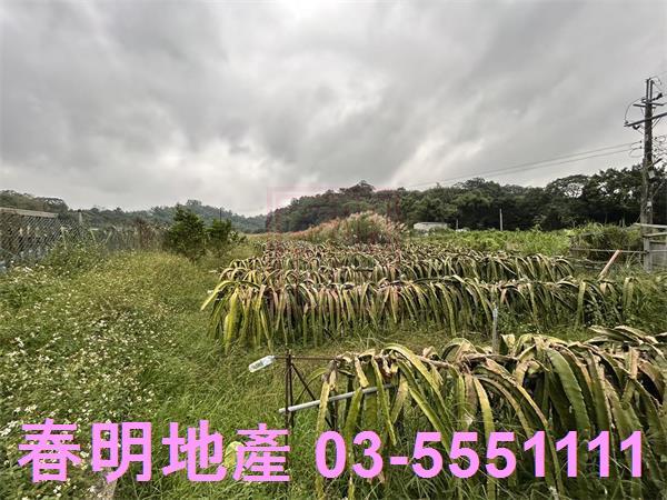 新竹農地-5
