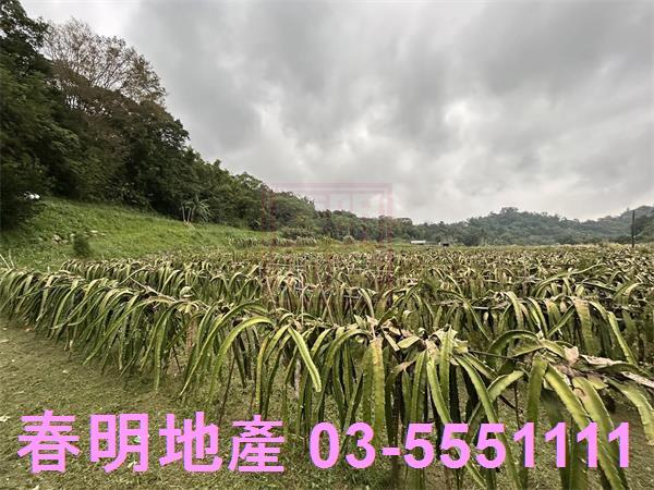 新竹農地-7