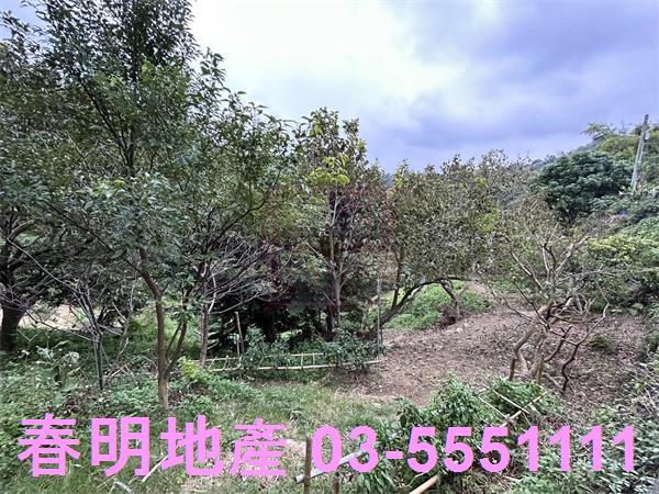 新竹農地-2