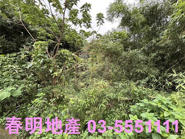 新竹農地-4