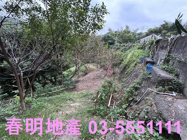 新竹農地-5