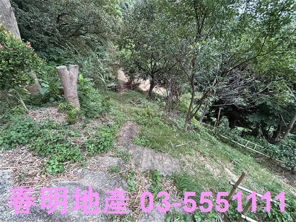 新竹農地-8