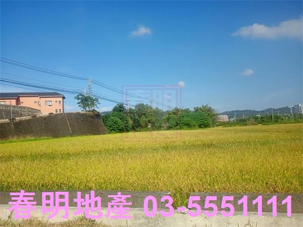 竹北農地-1