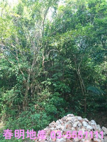 寶山農地-6
