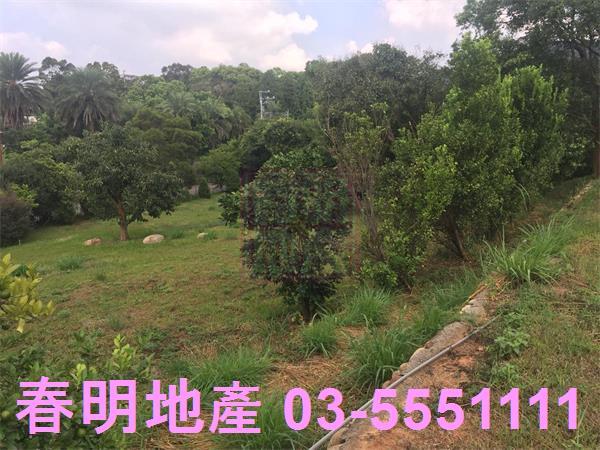 新竹農地-10