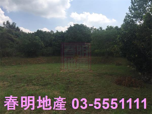 新竹農地-12
