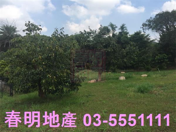 新竹農地-13