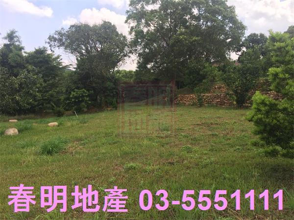 新竹農地-14