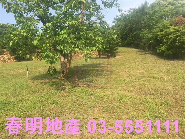 新竹農地-0
