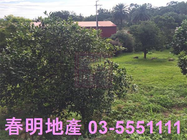 新竹農地-1