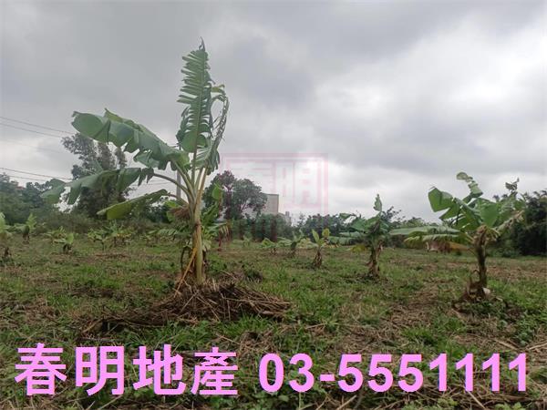 新竹農地-11