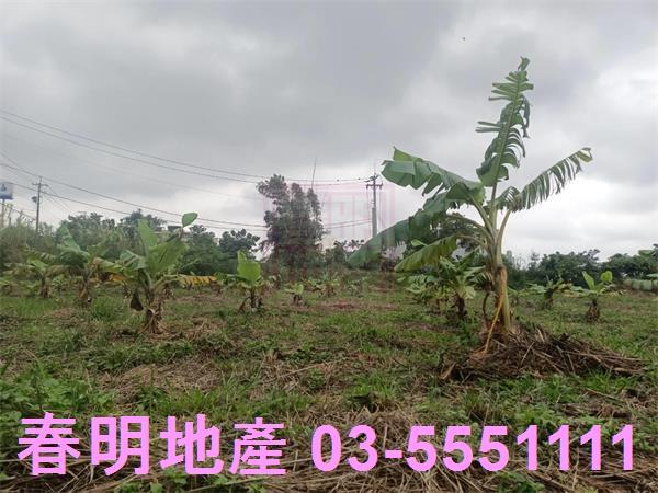 新竹農地-12
