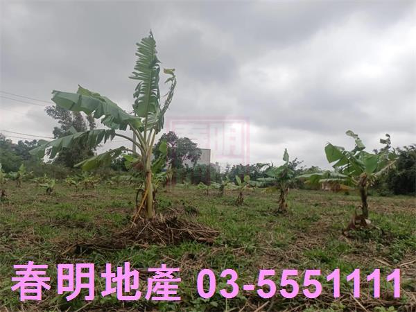 新竹農地-0