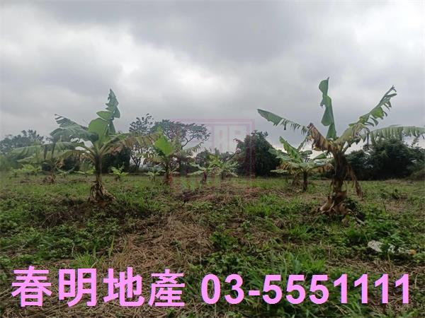 新竹農地-1