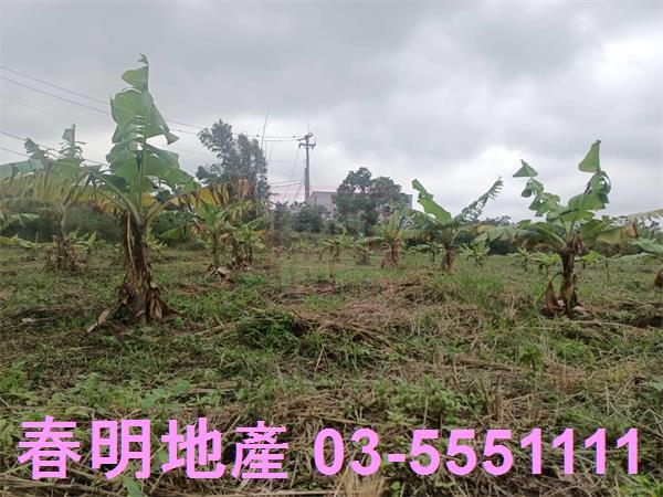 新竹農地-2