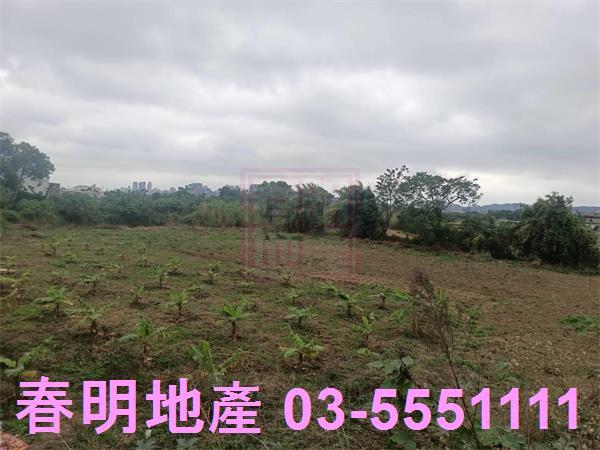 新竹農地-6