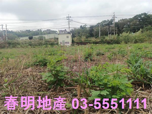 新竹農地-7