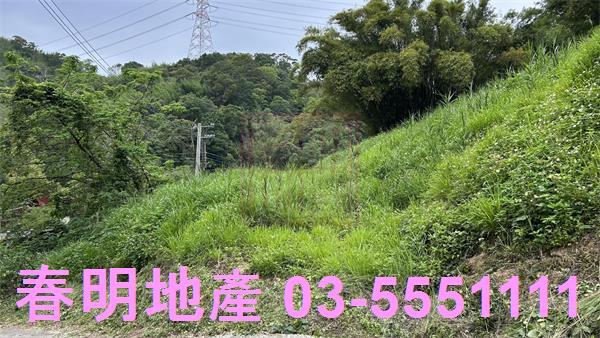 新竹寶山農地-1