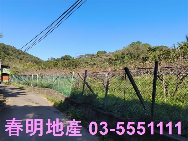 新竹新埔農地-9