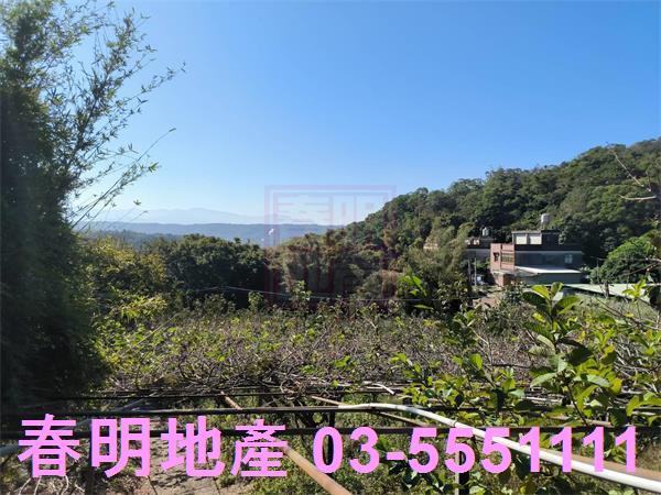 新竹新埔農地-5