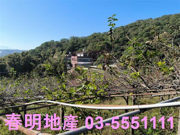 新竹新埔農地-6