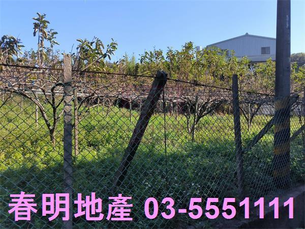 新竹新埔農地-7