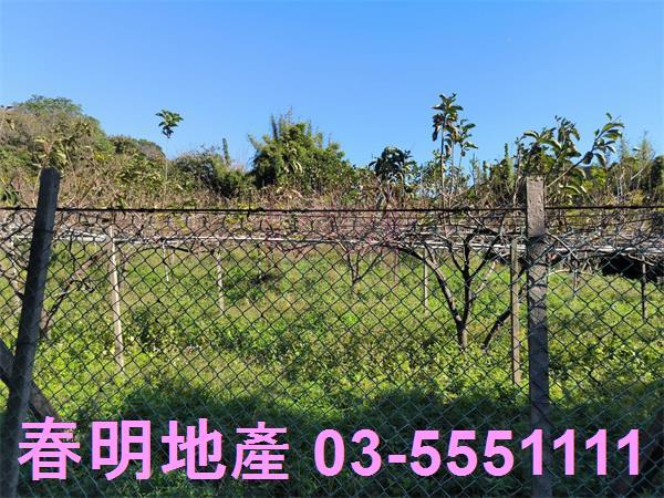 新竹新埔農地-8