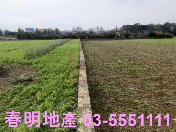 新竹新豐農地-2