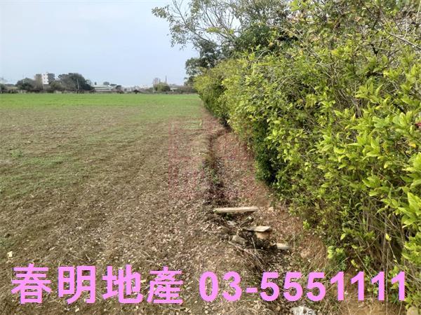 新竹新豐農地-3