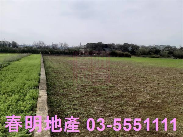 新竹新豐農地-4