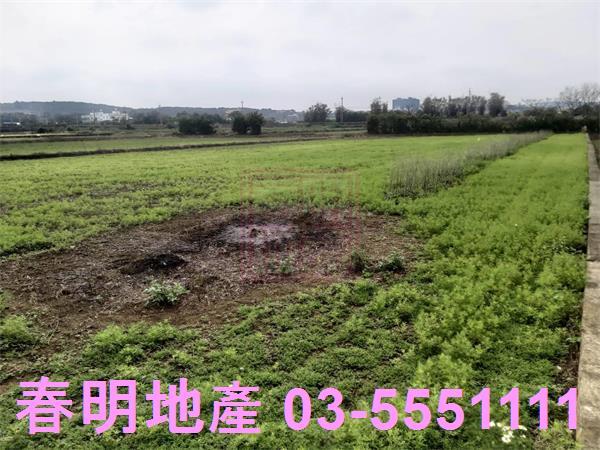 新竹新豐農地-5