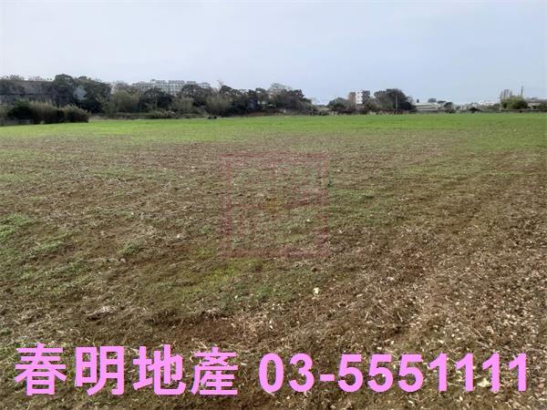 新竹新豐農地-7