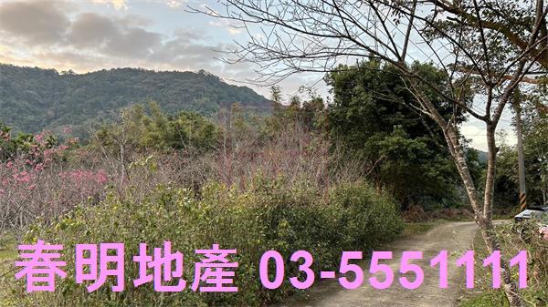 北埔農地-11
