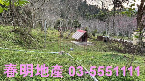 北埔農地-14