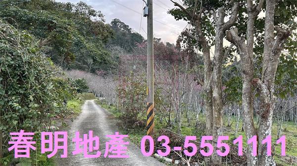 北埔農地-2